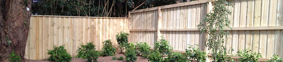 Lapped and Capped Fence Picture